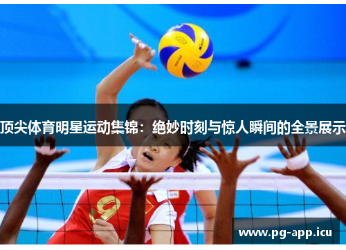 顶尖体育明星运动集锦：绝妙时刻与惊人瞬间的全景展示
